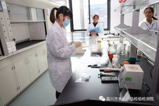 追梦奔跑 建功竞赛