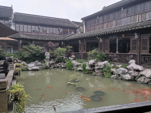 嘉兴 江南水乡的魅力明珠