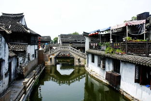 嘉兴南湖与西塘越里一日游 江南水乡的休闲时光
